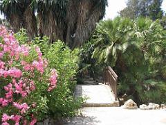 183 D35 PARC OLBIUS RIQUIER A HYERES_000018